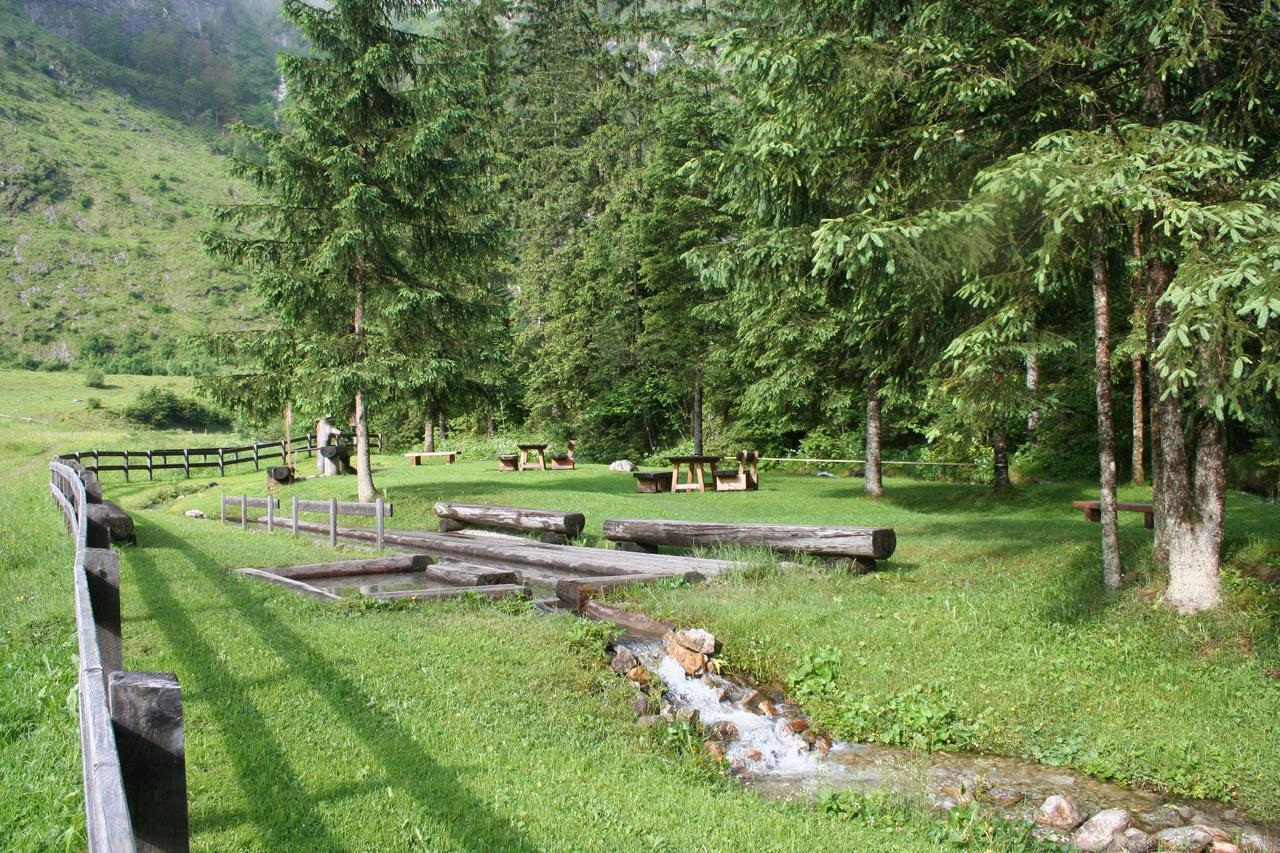 Gasthaus-landhotel Traunstein
